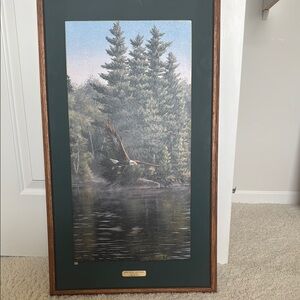 Framed Nature Artwork with Eagle